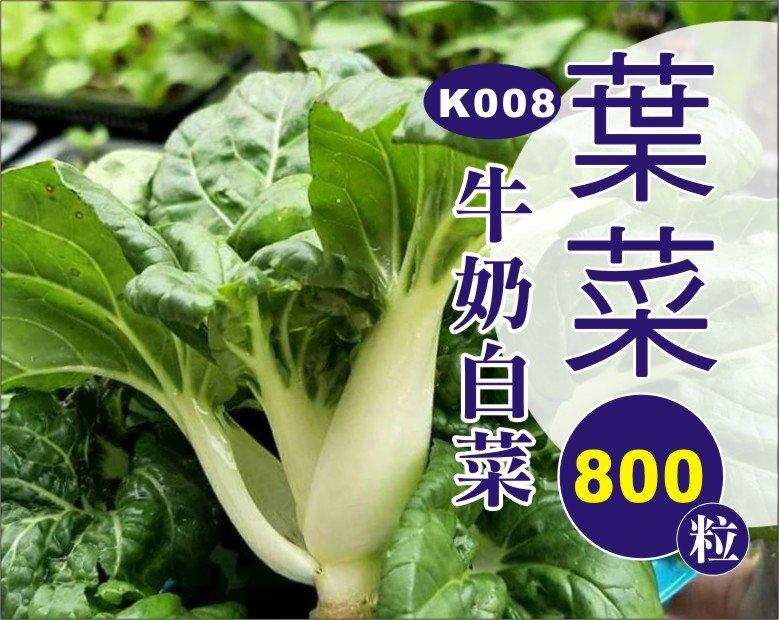農業屋K008牛奶白菜 種子