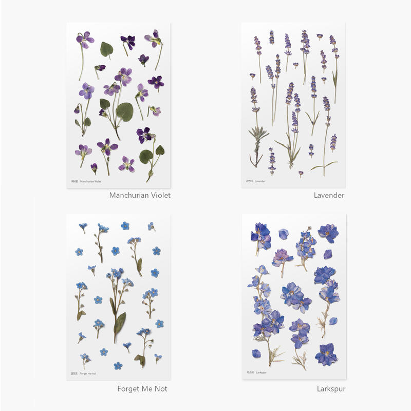 ◎。Bafa。◎ 韓國appree~ Press Flower Sticker 壓花造型裝飾貼紙/日誌貼紙~藍紫花系列