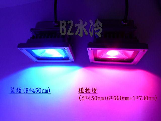 BZ水冷 10W 50W LED 植物生長燈 植物燈 450nm+660nm IP65防水 全電壓 另有 藍 紫藍 紫光