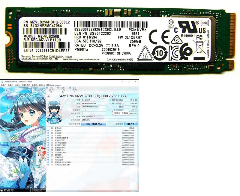 [貳樓]Samsung/Kioxia/256GB SSD固態硬碟/PCIe 3/NVMe