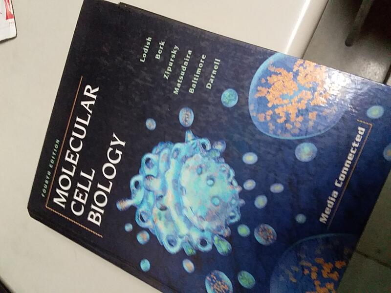 二手  原文書 Molecular Cell Biology 4th Edición 