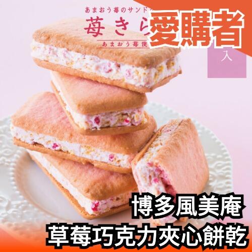 🔥全系列🔥日本製 博多風美庵 草莓夾心餅乾 巧克力 母親節 伴手禮 名產 特產 特色美食 零食 甜點 禮盒【愛購者】