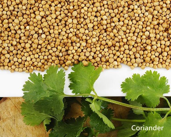【歐洲菜籃子】印度胡芫子、胡荽子、芫荽子100克(分裝) Coriander Seeds，咖哩、肉類、香腸、燉菜調味