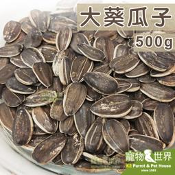 《寵物鳥世界》藍亞仕 大葵瓜子500g(分裝包)│大瓜子 帶殼 天然零嘴點心 鸚鵡 鼠 倉鼠 黃金鼠 CC070