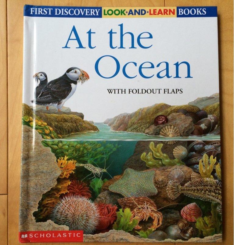 【二手書】《At the Ocean (First Discovery: Look-and-Learn)》九成新