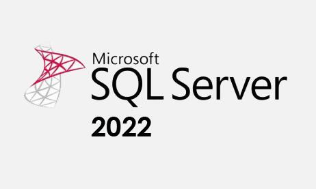 【 微軟經銷商】SQL Server 2022 / 2019 標準版 資料庫 CSP 永久版授權