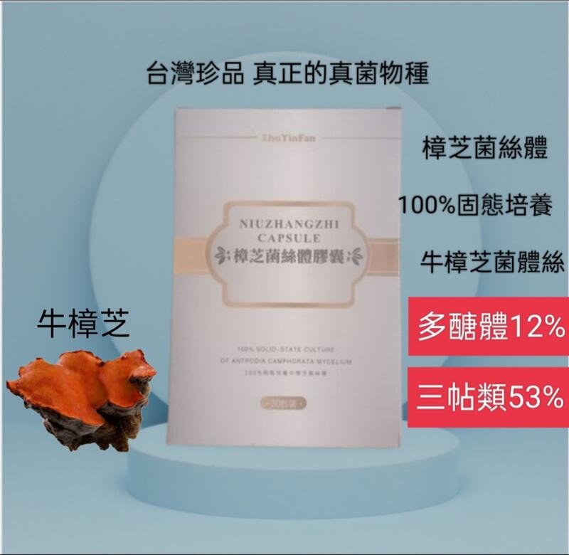 高含量 台灣牛樟芝菌絲體膠囊30顆 多醣體12% 三帖類53%
