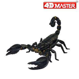 【4D MASTER】立體拼組模型動物系列-帝王蠍 26502