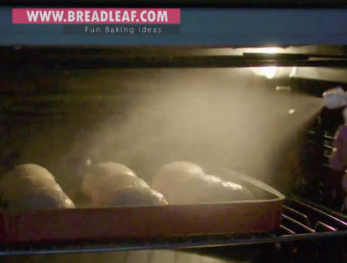 全新breadleaf 300ml麵包噴水瓶/噴酒瓶/細霧狀，讓烤箱裡可以均勻補給到水氣