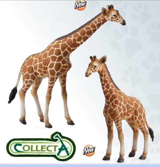 CollectA (PROCON) 網紋長頸鹿親子 動物模型(正品)