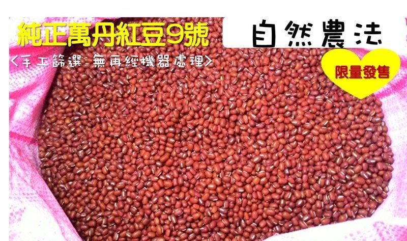 「產地直銷」屏東9號萬丹紅豆(限量)一斤裝含袋 *自然農法* 2024 年新豆！(綿、鬆、軟)