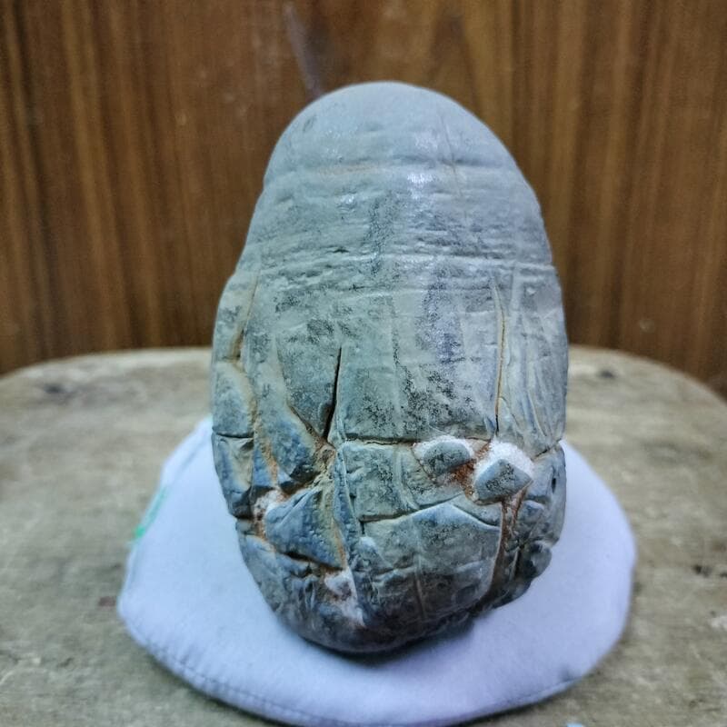 中古陳H後二十六 大安溪 黑膽石 老黑膽 雅石 奇石 1500元 約480g 請先詢問有貨再下標