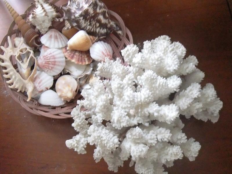 天然白珊瑚重量1公斤多附加照片上貝殼一齊合售