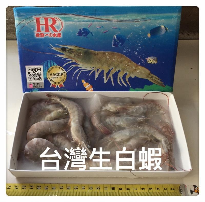 台灣生白蝦