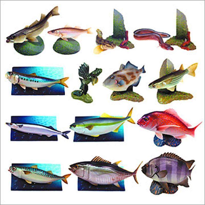 原色魚類大圖鑑 （絕版現貨販售日版全新內袋未拆原色海水魚圖鑑