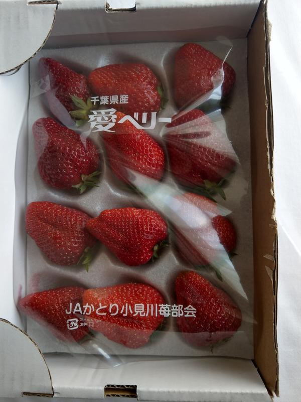日本草莓.草莓苗.千葉 愛莓(アイベリー)草莓種子