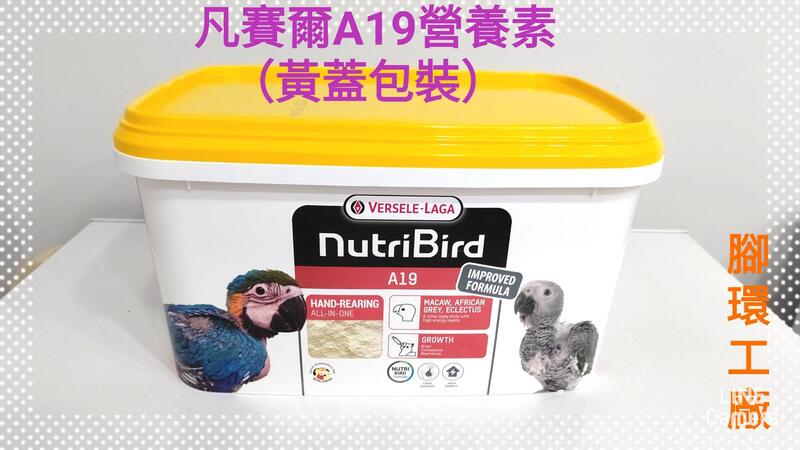 凡賽爾A19(黃蓋)營養素/鳥奶粉❤3公斤原裝進口-(盒裝)❤中大型鸚鵡幼、雛鳥適用~