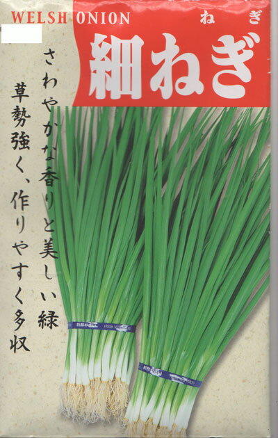 【媽咪蔬果園】、　日本細葉蔥  種子