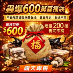 【甲蟲部落】蟲爆600驚喜甲蟲福袋｜限量200袋🔥隨機開箱・...