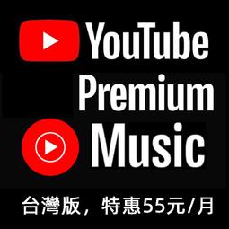YouTube Premium會員 台灣版 國際版 獨享 共享 一年