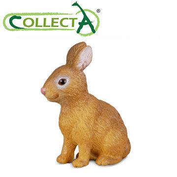 素食天堂~COLLECTA動物模型白兔,Procon-120
