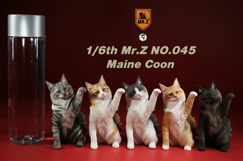 【那間模型】MR.Z 朱先生 1:6 緬因貓 白貓 貓 貓咪 家貓 模型 公仔 玩具 生日禮物
