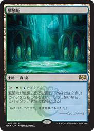 breeding pool - 人氣推薦- 2025年12月| 露天市集