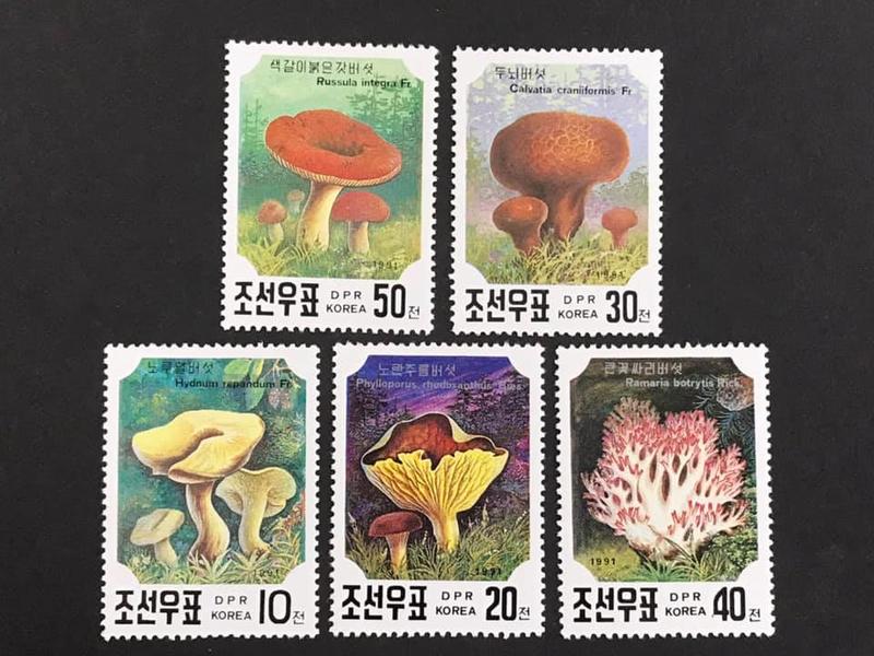 北韓 1991.02.26 #真菌植物 -套票5全 55元