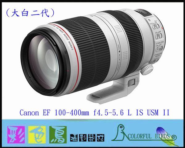 彩色鳥(租鏡頭 租相機 相機出租) Canon EF 100-400mm f4.5-5.6L IS II USM 出租