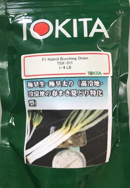 [禾康肥料] 日本大蔥種子(TSX-511) / 1/5 LB/包(約90公克)