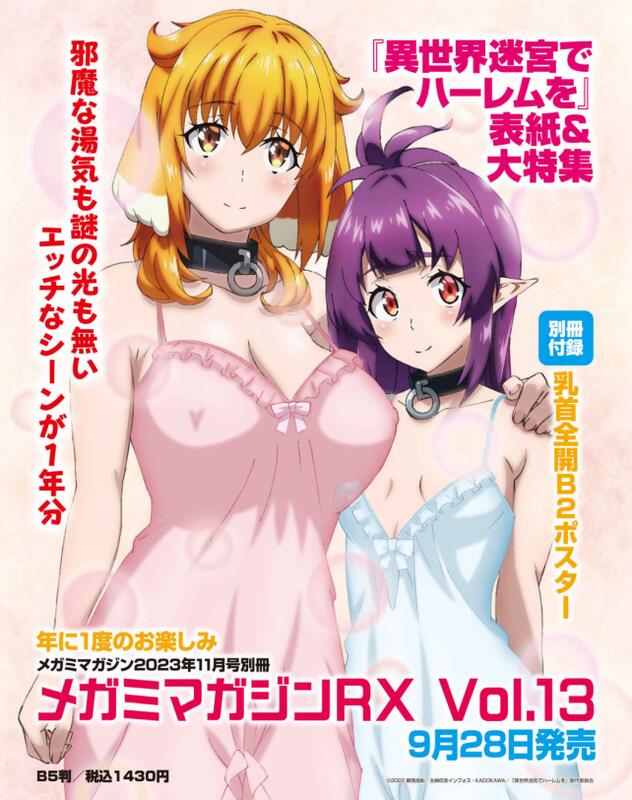 メガミマガジンRX Vol.1~10 セット - 文学/小説