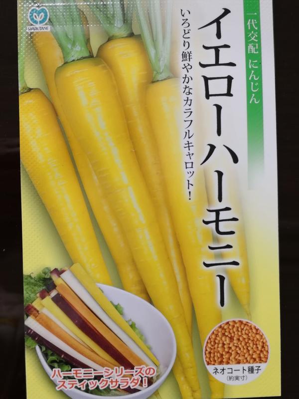 【日進種子家園】黃金胡蘿蔔〜口感佳‧清甜無蘿蔔味