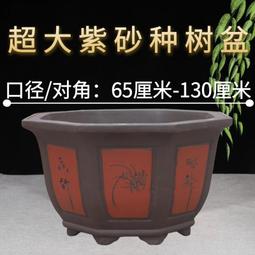 紫砂六角盆- 比價撿便宜- 優惠與推薦- 2026年7月