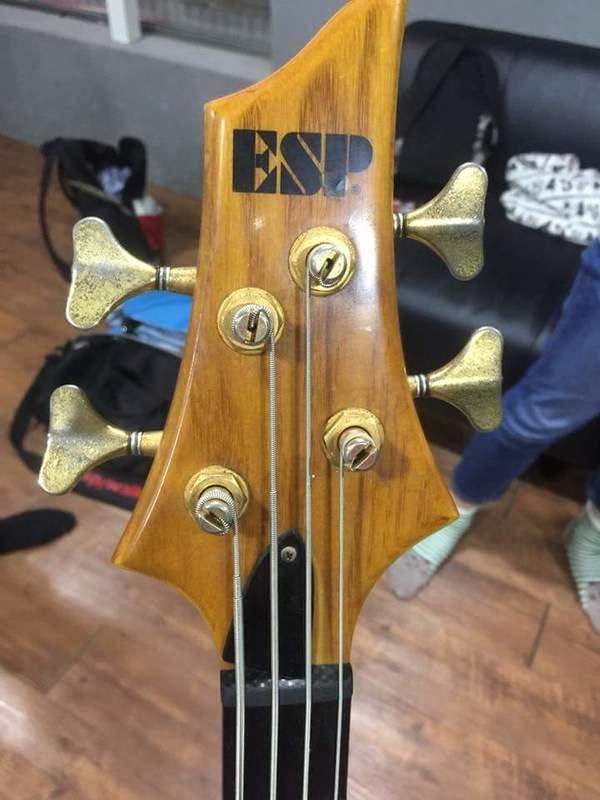 エレキベース ESP BOTTOM LINE ボトムライン - ベース