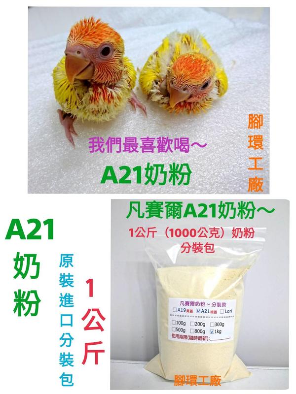 凡賽爾A21奶粉❤1公斤 分裝包❤ 小型鸚鵡、雀科幼雛鳥適用