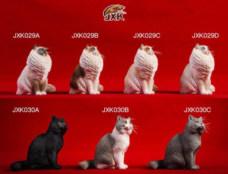【那間模型】JXK 模型 1:6 布偶貓 英國短毛貓 貓咪 貓 家貓 模型 公仔 玩具 收藏 生日禮物