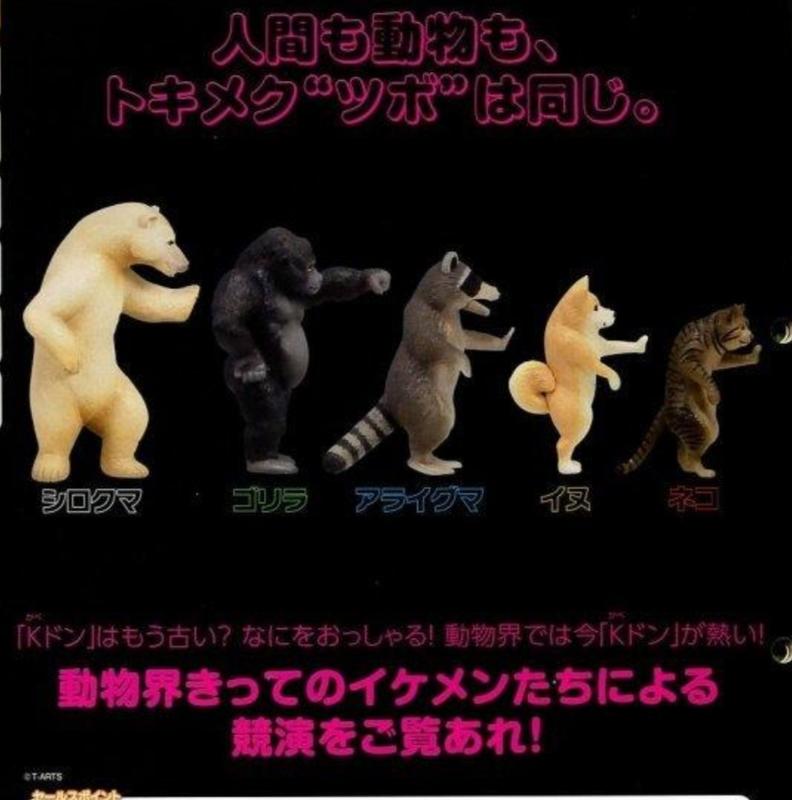 日本 T-ARTS 動物的壁咚 全5種 柴犬 北極熊 猩猩 貓