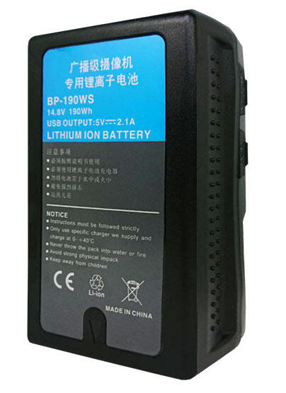 [瘋相機] ROWA 樂華 FOR SONY BP-190WS V掛鋰電池 另售專用雙充 公司貨