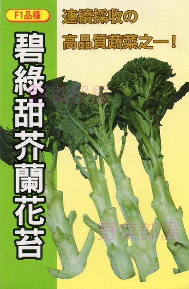 【野菜部屋~】H15 碧綠甜芥蘭花苔種子0.7公克 , 有甜度 , 品質佳 , 每包15元~