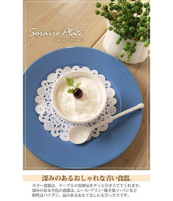 艾苗小屋-日本製北歐風格蛋糕盤 