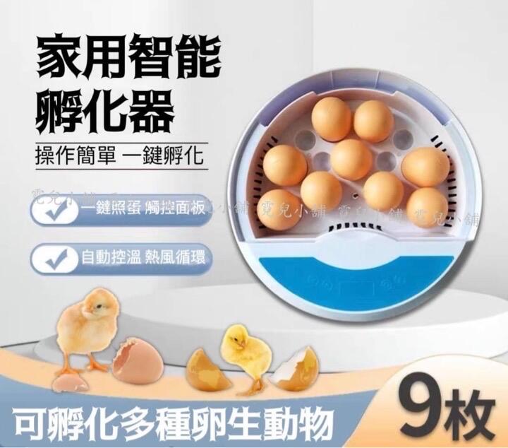 現貨 9枚蛋 孵化機 孵蛋器 半自動雞蛋孵化器 迷你雞蛋孵化機 鳥蛋半自動孵蛋機 雞蛋孵化箱 孵蛋機