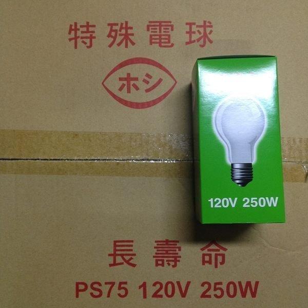 《昌吉電料行》自取 250W燈泡 200W燈泡 150W燈泡 東亞 替代品牌