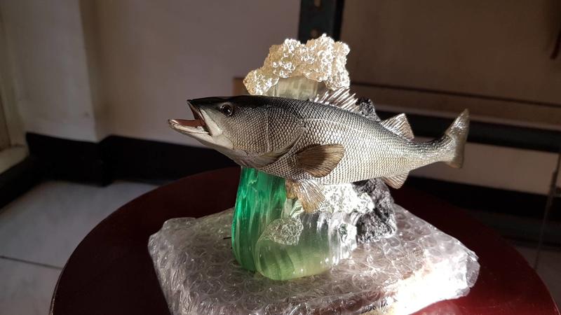 Favorite 日本釣魚情境公司絕版魚類模型 原色魚類擬真模型圖鑑 日本海鱸 樹脂完成品