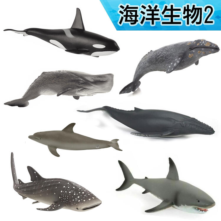 【MOJO FUN 動物模型】動物星球 海洋生物2-鯨鯊/虎鯨/灰鯨/抹香鯨/大白鯊/海豚