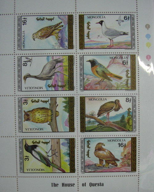 紫晶城 國外郵票 鳥類