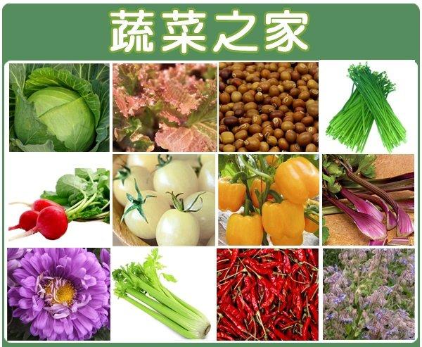【蔬菜之家滿額免運】蔬菜花草種子總匯400種以上(每包13元)