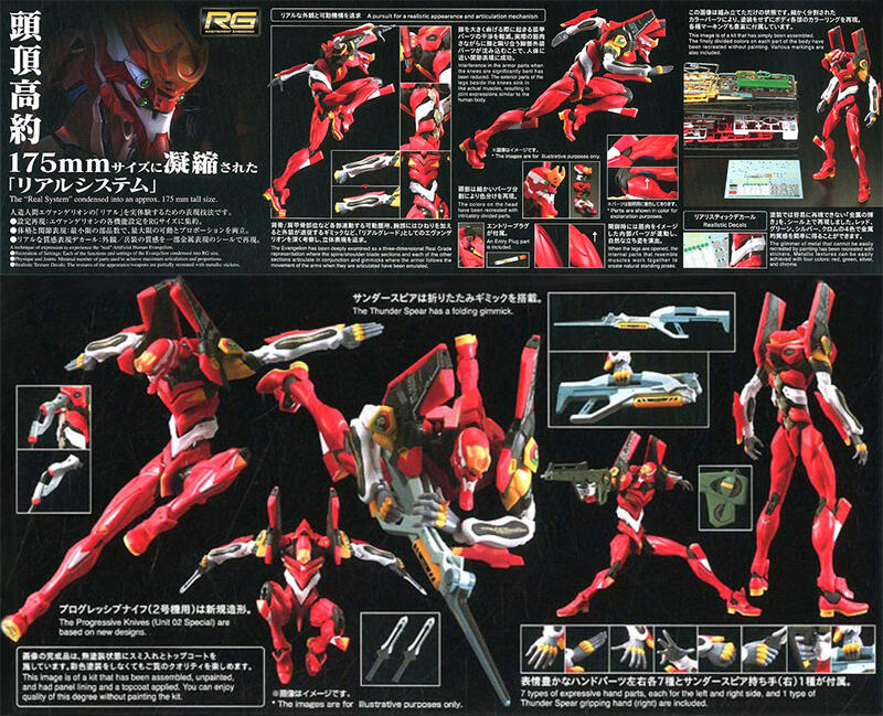 【鋼普拉】BANDAI RG 新世紀福音戰士 泛用人型決戰兵器 人造人 EVA 02 2號機 貳號機 明日香