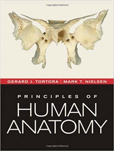 (出清現貨1) Principles of Human Anatomy 12E 解剖學 Tortora Nielsen