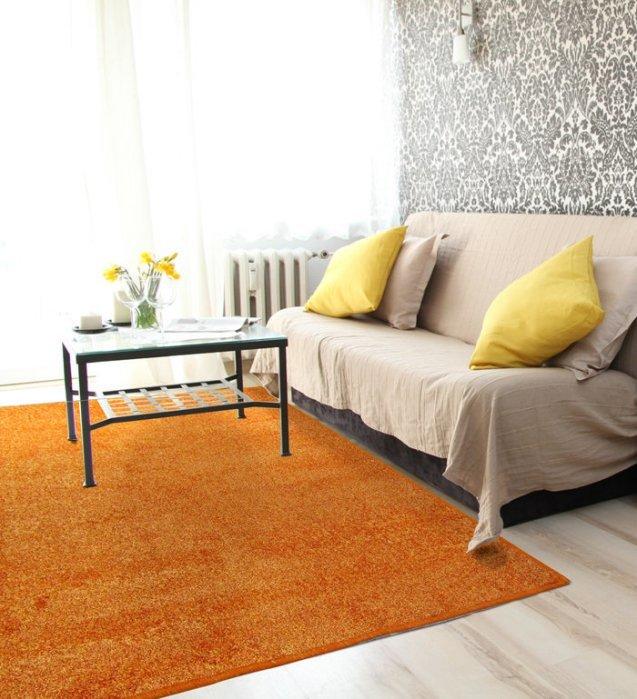 【范登伯格】瑪莎簡單亮麗比利時時尚超現代進口地毯,賠售價990元含運-100x150cm
