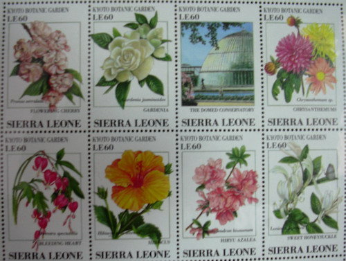 紫晶城 國外郵票 花卉1